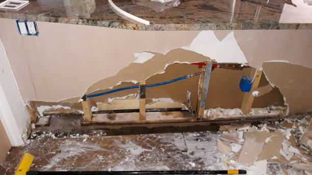 Best Water damage mitigation services  in Laurel, MS