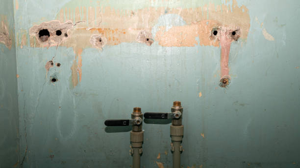 Best Fire Damage Restoration  in Laurel, MS