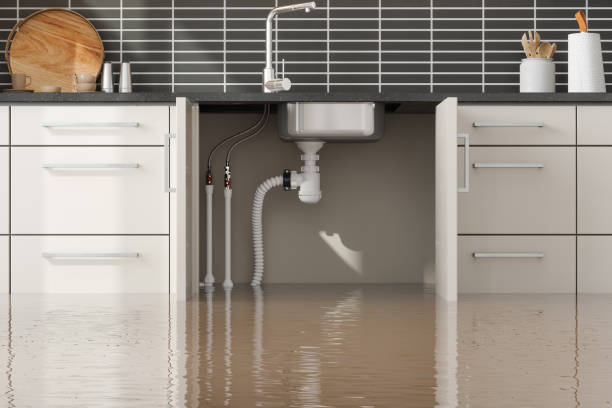 Best Carpet water damage restoration  in Laurel, MS