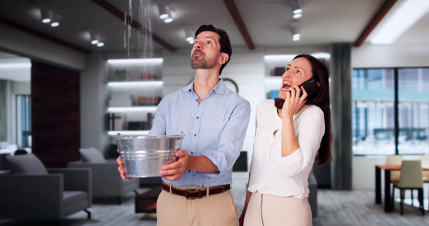 Best Sewage cleanup and water damage restoration  in Laurel, MS